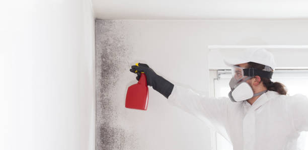 Cloverdale, VA Mold Remediation Company